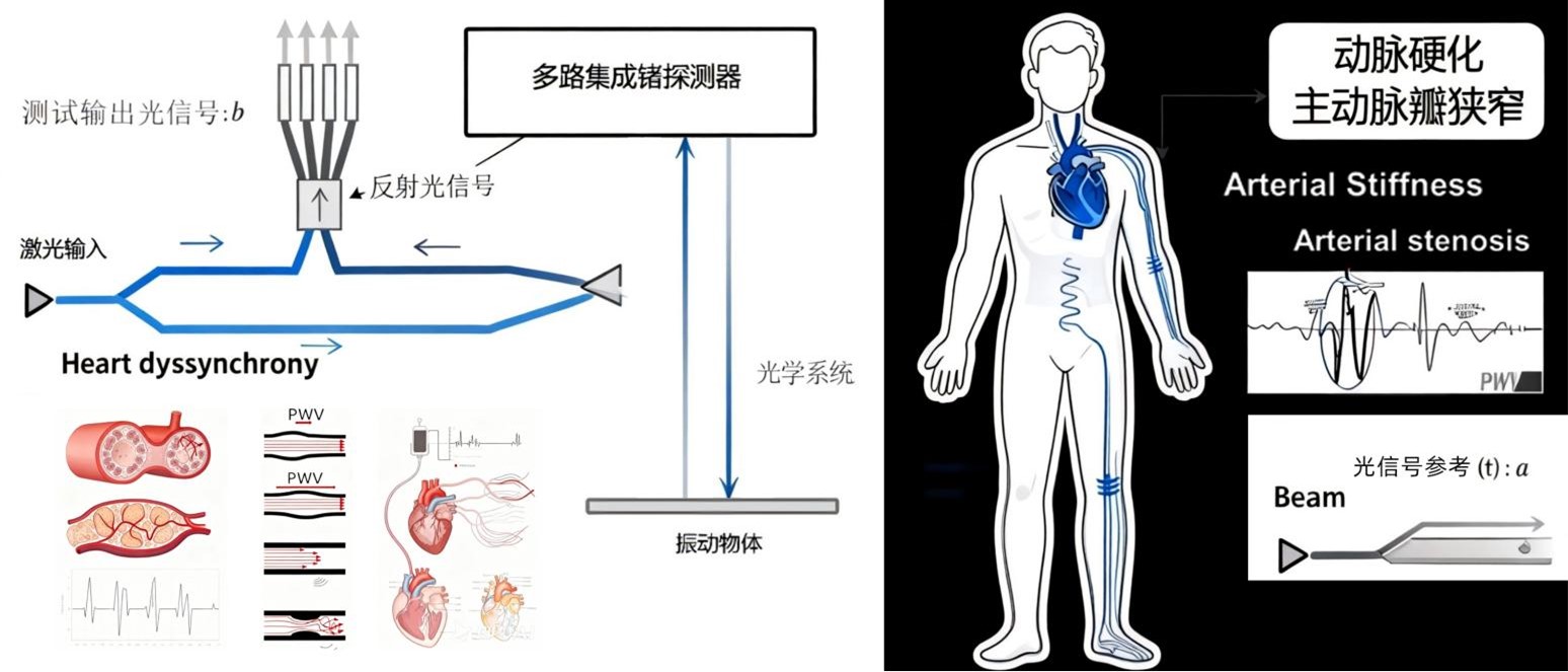 多通路集成探测器技术示意图